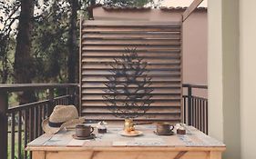 House Ekton